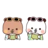 panditas 8