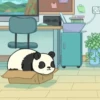 Panda Travieso 🐼 15