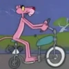 Pantera Rosa 15