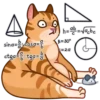 Gatos anime 1🐱 MOV. 🇲🇽 15