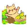 Gato lindo 1 17