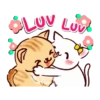 Gato lindo 1 18