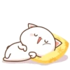 mochi peach cat 2 17