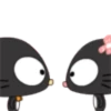 🖤Small black cat🖤.mov 16