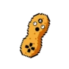 Peanut Play Stickerpack 16