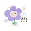 Flowers 💖 MOV 17