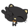 🖤Small black cat🖤.mov 21
