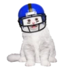 Mascotas🐩2🇲🇽Movi 21