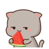 mochi peach cat 2 22