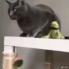 Mix animales 4 28