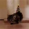 Mix animales 3 30