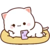 mochi peach cat 2 27