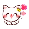 Gato lindo 1 30