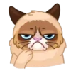 Gatos anime 1🐱 MOV. 🇲🇽 30