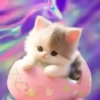 Gatitos(Full Color)💞1🇵🇪Movi 7