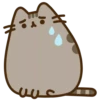 Pusheen 6