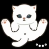 Gatos😺💞2🇵🇪Movi 6