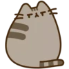 Pusheen 8