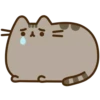 Pusheen 9
