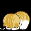 Gatos😺💞2🇵🇪Movi 8