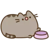 Pusheen 10