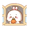 rabbit7 兔几7 9