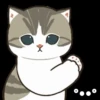 Gatos😺💞2🇵🇪Movi 9