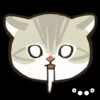 Gatos😺💞2🇵🇪Movi 12