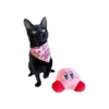 Kirby💖2🇲🇽Movi 9
