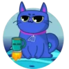 Gatito blue 🐱 A1 🇲🇽MOV. 12