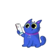Gatito blue 🐱 A1 🇲🇽MOV. 13