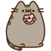 Pusheen 13