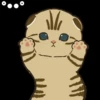 Gatos😺💞2🇵🇪Movi 13