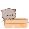 🍥🐱Mochi peach cat🐱🍥2 10