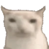 animal emotes 10