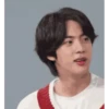 BTS Jin stickers 9