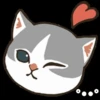 Gatos😺💞2🇵🇪Movi 14