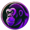 ApinPulse 9