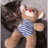 plushie 5