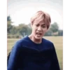 BTS Jin stickers 11