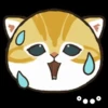 Gatos😺💞2🇵🇪Movi 15
