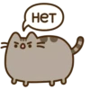 Pusheen 15