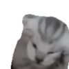 animal emotes 14
