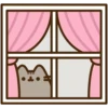 Pusheen 16