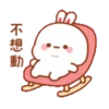 rabbit7 兔几7 13