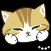 Gatos😺💞2🇵🇪Movi 17