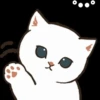 Gatos😺💞2🇵🇪Movi 18