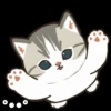 Gatos😺💞2🇵🇪Movi 19