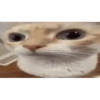 animal emotes 20