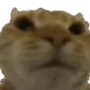animal emotes 21